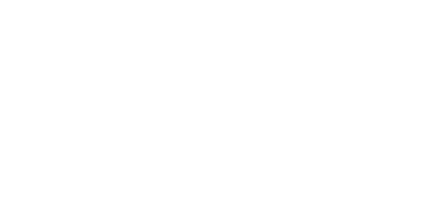 The PROTO FLOW wordmark in white